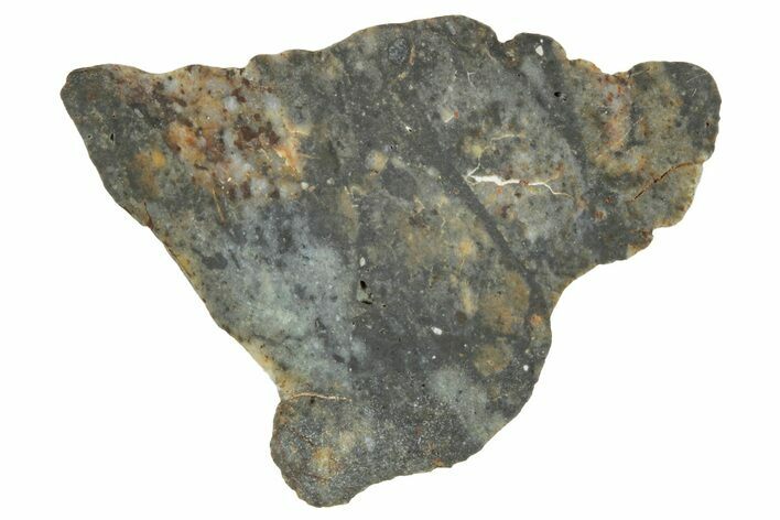 Lunar Meteorite ( g) Slice - Laayoune #291653